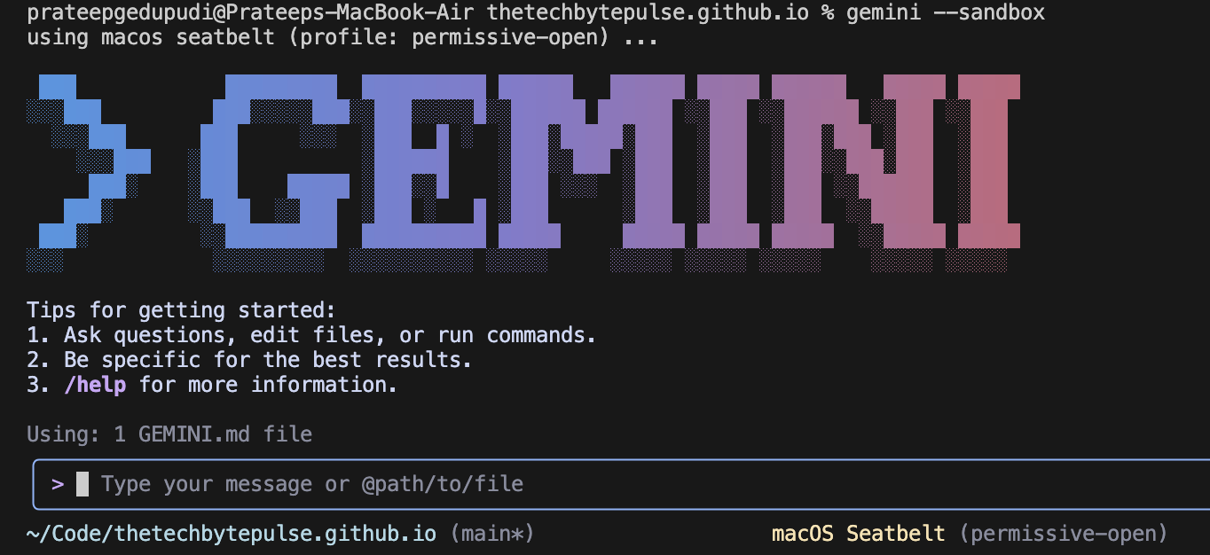 Gemini CLI Sandbox Security